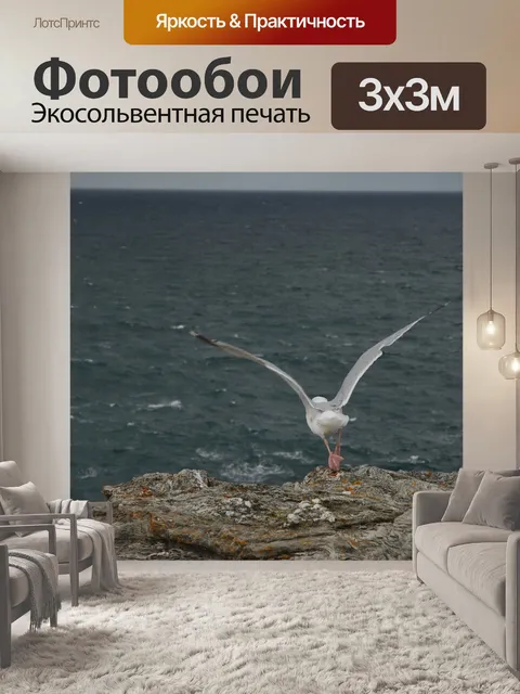 Фотообои Чайка