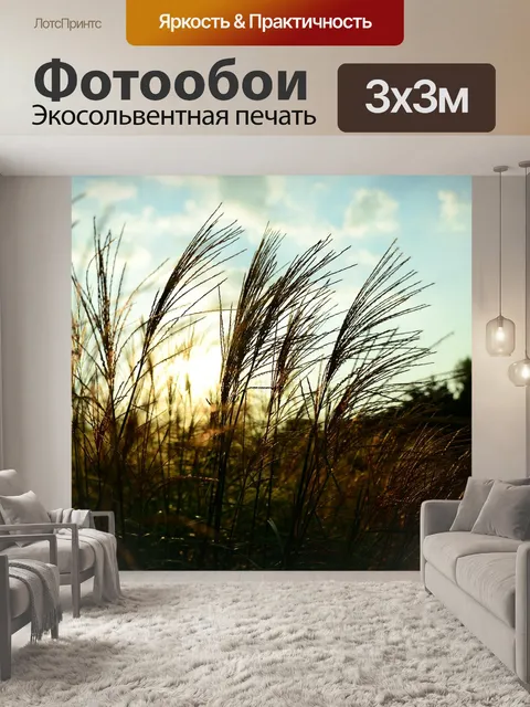 Фотообои Рид