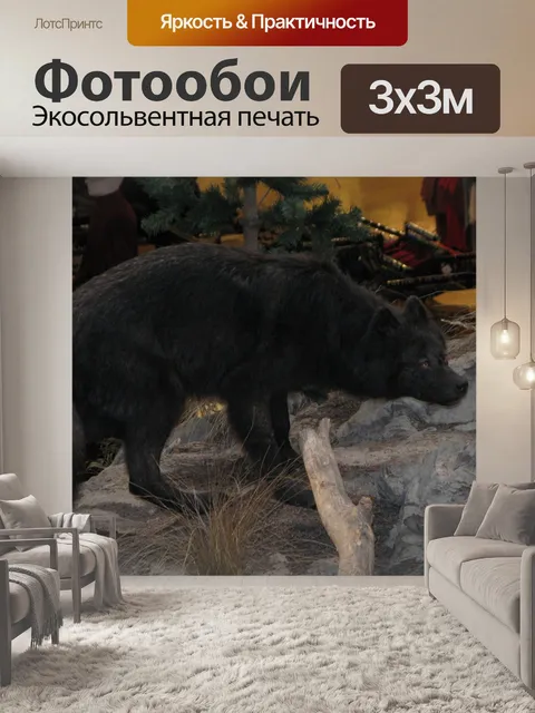 Фотообои волк