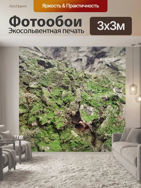 Фотообои Мох