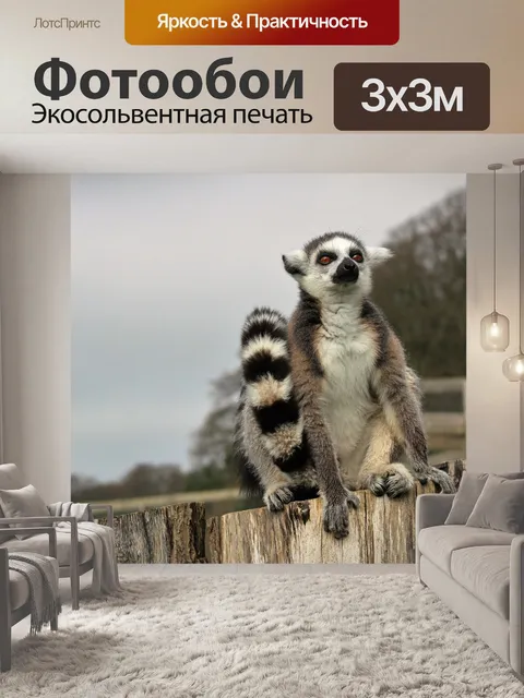 Фотообои Лемур