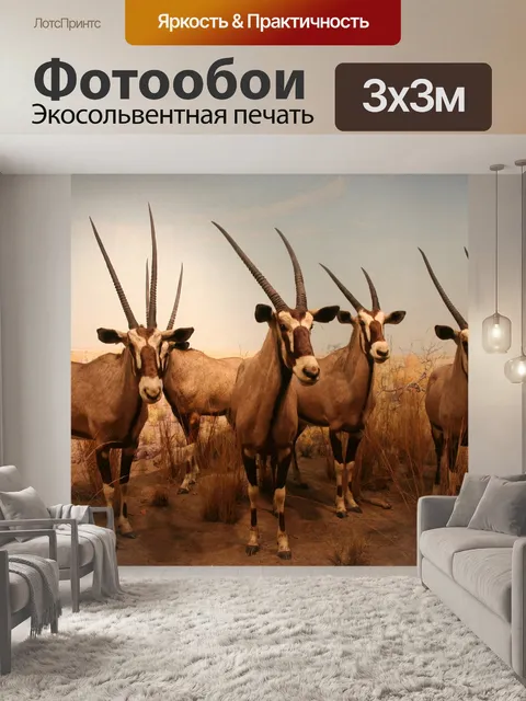 Фотообои Серна
