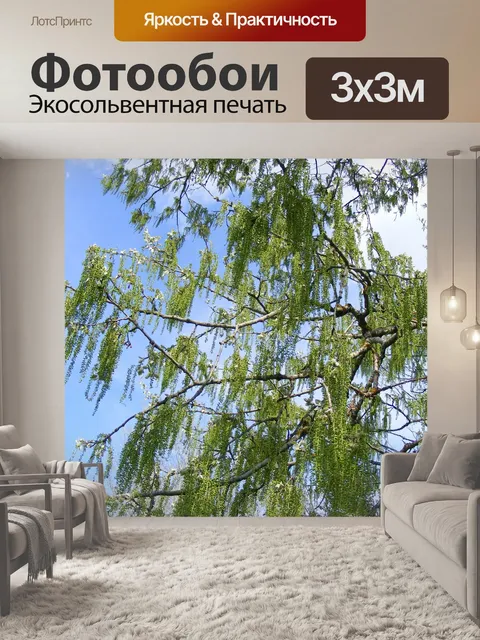 Фотообои Babylonica