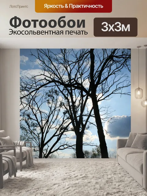 Фотообои деревья против яркого неба