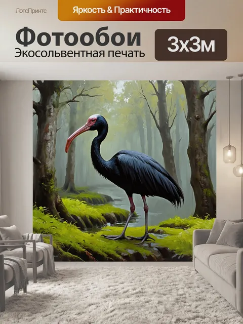 Фотообои чёрный ибис на фоне таинственного леса, где густые деревья и мох покрыты утренним туманом