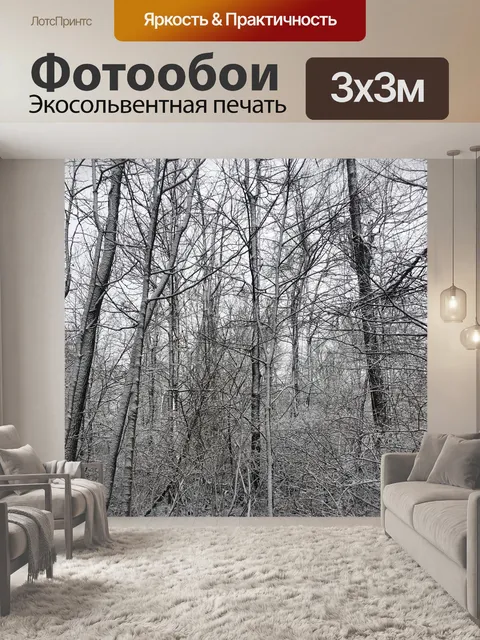 Фотообои Зима