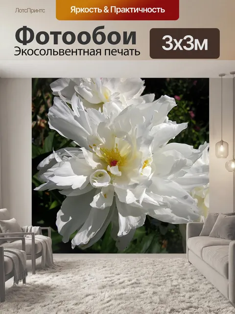 Фотообои Пион
