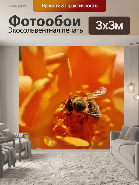 Фотообои Пчела