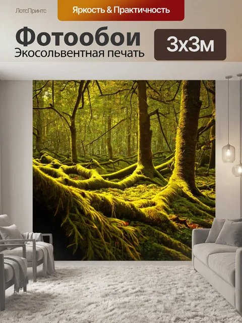 Фотообои винтаж, изображающие молчаливый лес с раскинутыми ветвями и мхом на земле