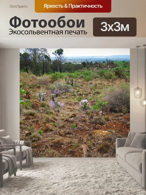 Фотообои черные лилии с цветами