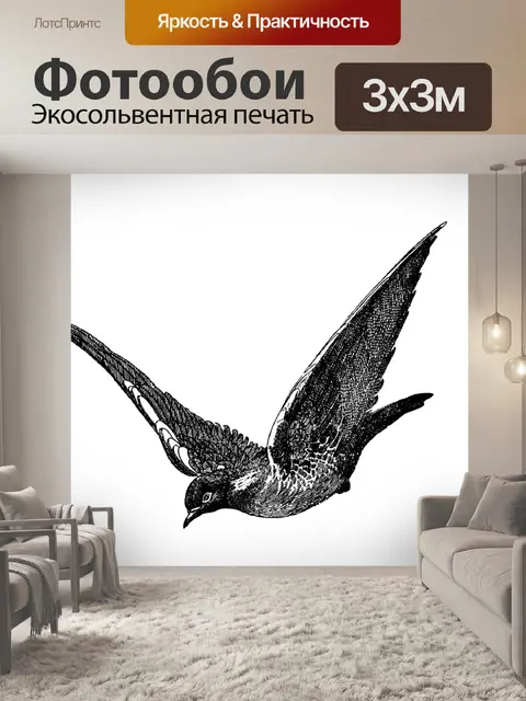 Фотообои Летающая птица