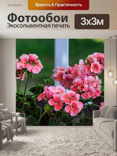 Фотообои Розовая герань