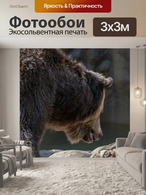 Фотообои Бурый медведь