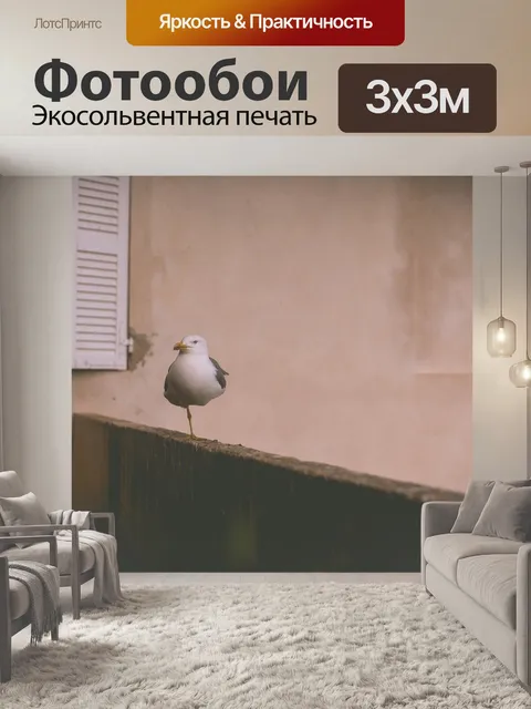 Фотообои Чайка