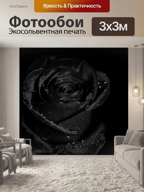 Фотообои Черная роза