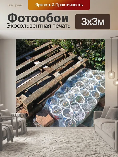 Фотообои деревянный ящик и пластиковые контейнеры