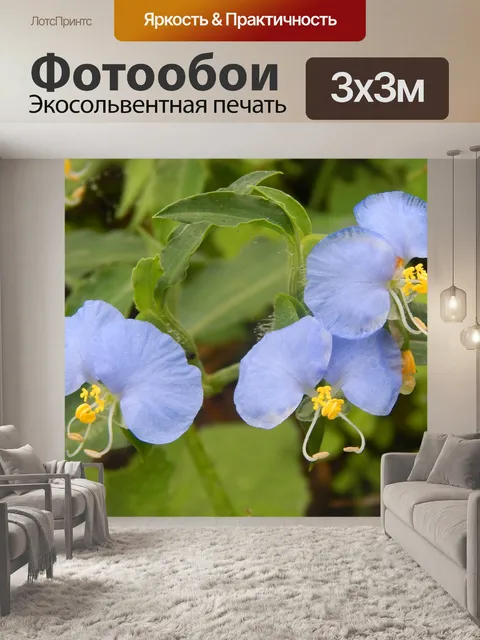 Фотообои Сент-люсия