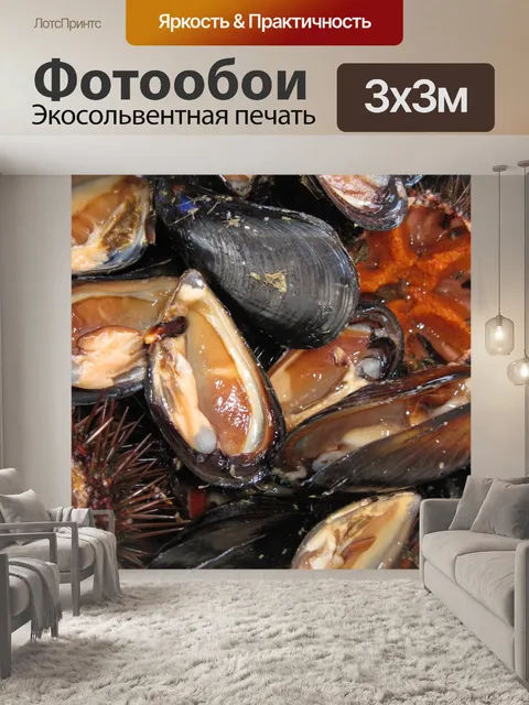 Фотообои Моллюски