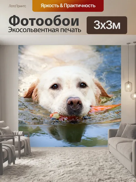 Фотообои Собака