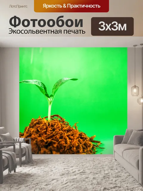 Фотообои Молодой завод деревьев