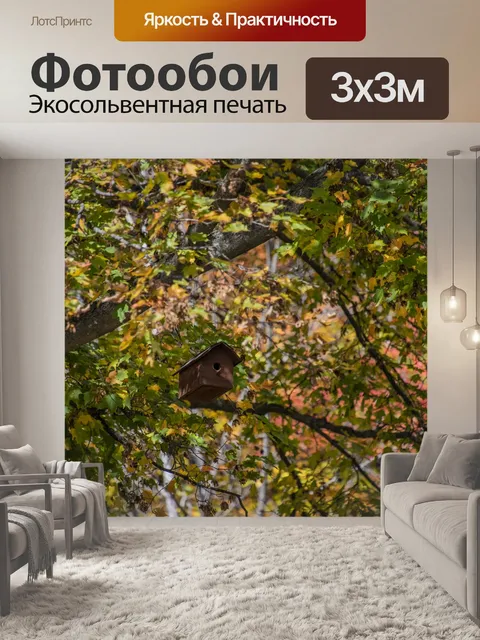 Фотообои Скворечник и Дерево