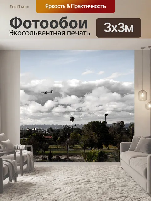 Фотообои Посадка самолета в Лос-Анджелесе