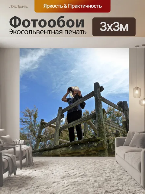 Фотообои Берегись