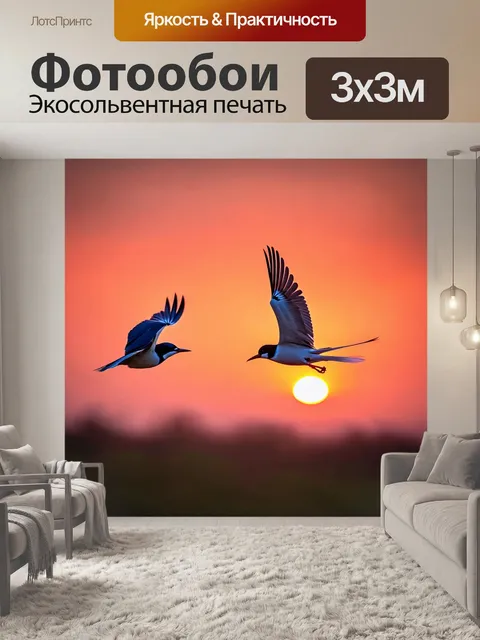 Фотообои красивые птицы на фоне яркого заката