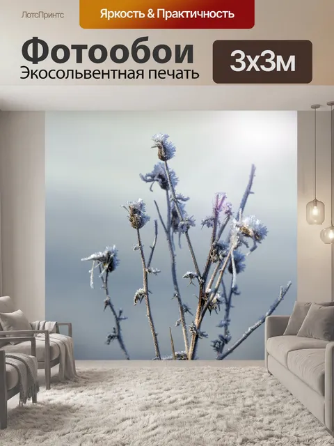 Фотообои Утренний мороз
