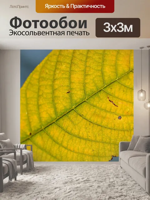 Фотообои Лист
