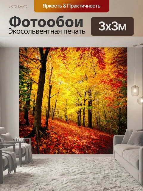 Фотообои осенний лес с яркими листьями, золотистые и красные оттенки, вещи на земле
