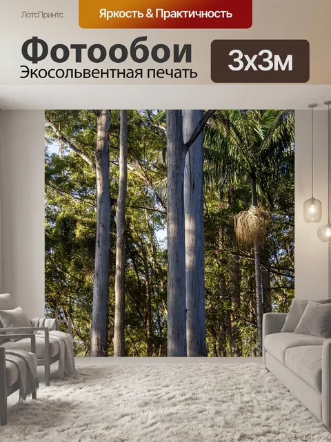 Фотообои Деревья