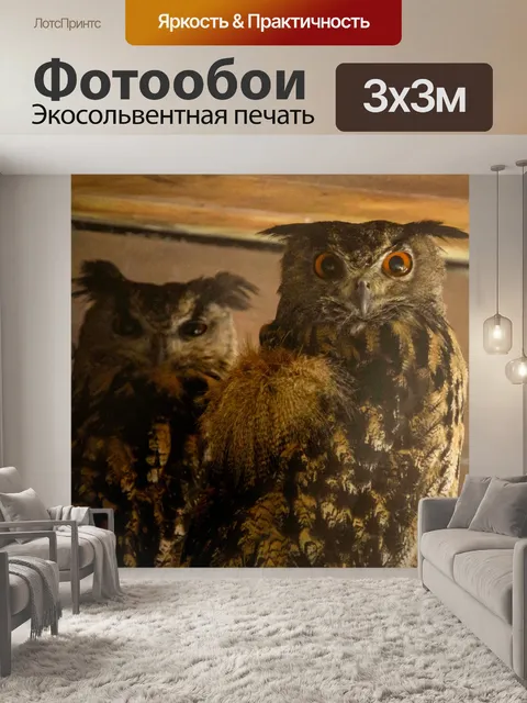 Фотообои Евразийский филин