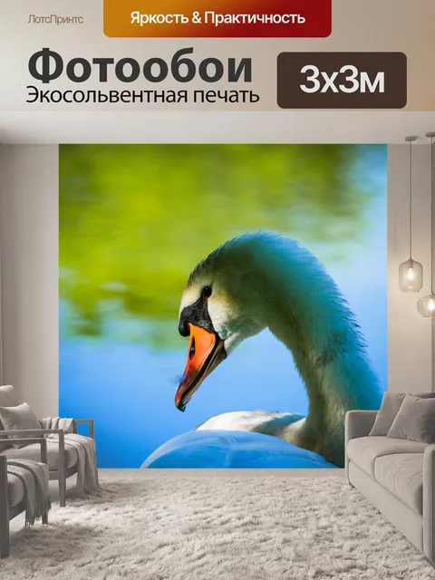 Фотообои Лебедь