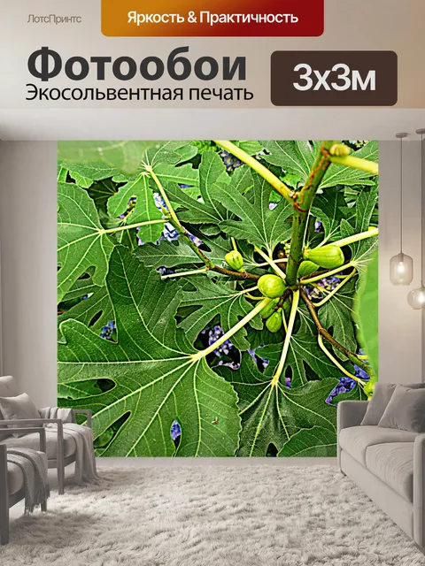 Фотообои Зеленый рис