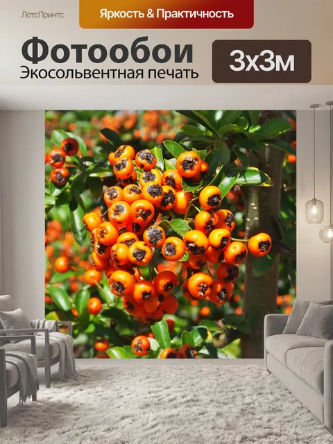 Фотообои Ягода