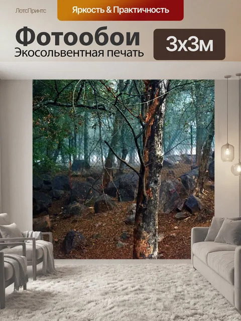 Фотообои Туманный лес 7