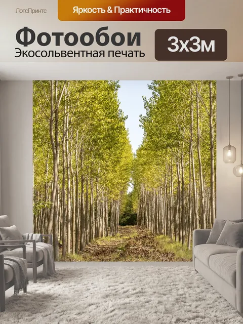 Фотообои Лес
