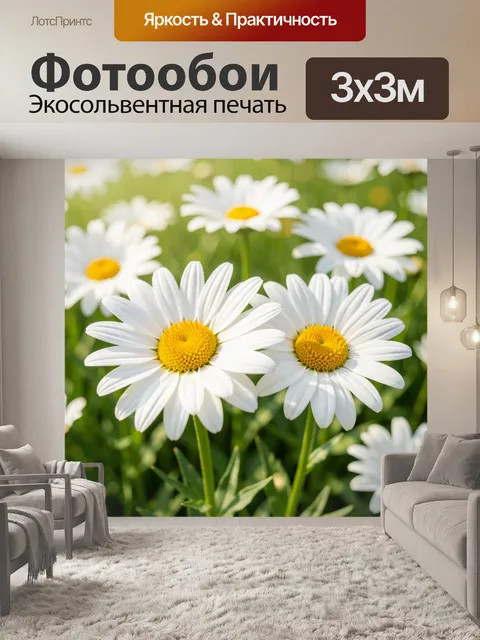 Фотообои Белые ромашки на лугу