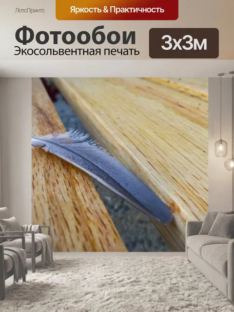 Фотообои Перо на скамейке