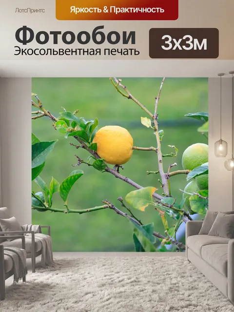 Фотообои Лимонное дерево