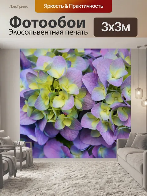Фотообои Лаванда и белый гортензия