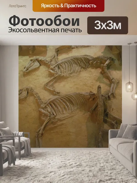 Фотообои Археологические раскопки