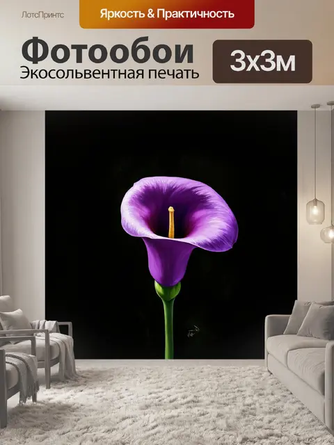 Фотообои фиолетовый цветок калла в стиле реализма