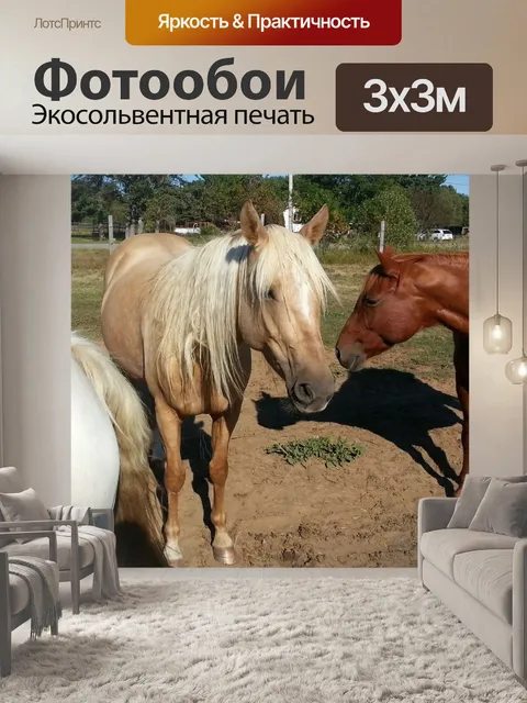 Фотообои Лошади