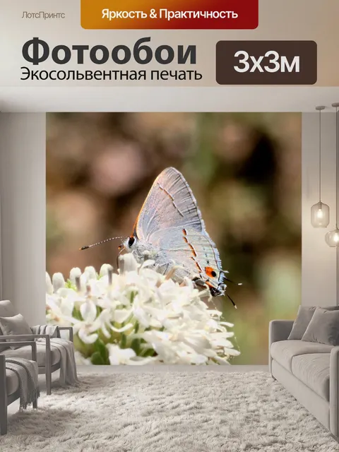 Фотообои Серый парикмахерская