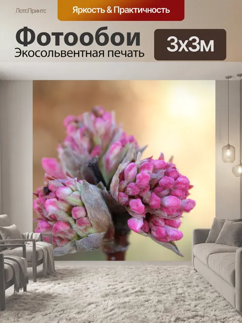 Фотообои Калины чарльз ламонт