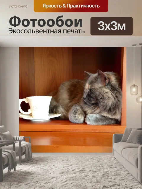 Фотообои Кошка