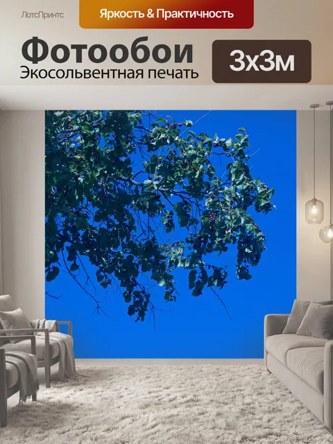 Фотообои листья и плоды шипа буйвола