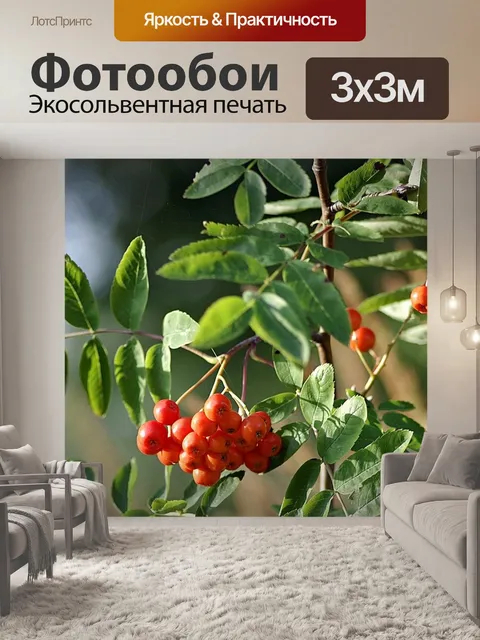 Фотообои Рябина